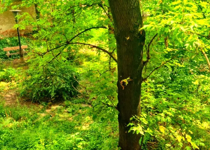 Auberge de jeunesse Newbuda Feel Good *